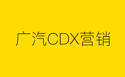 广汽CDX营销策划方案合集