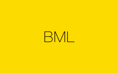 BML策划方案合集