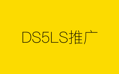 DS5LS推广策划方案合集