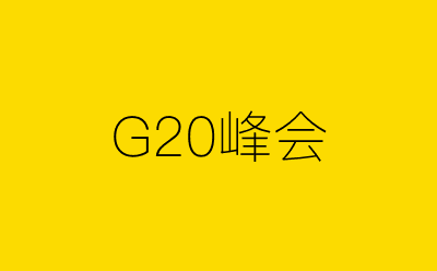 G20峰会策划方案合集