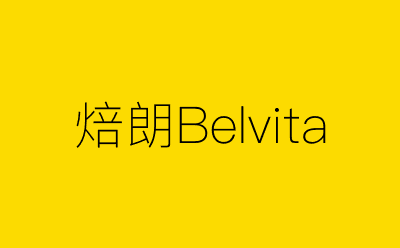 焙朗Belvita策划方案合集